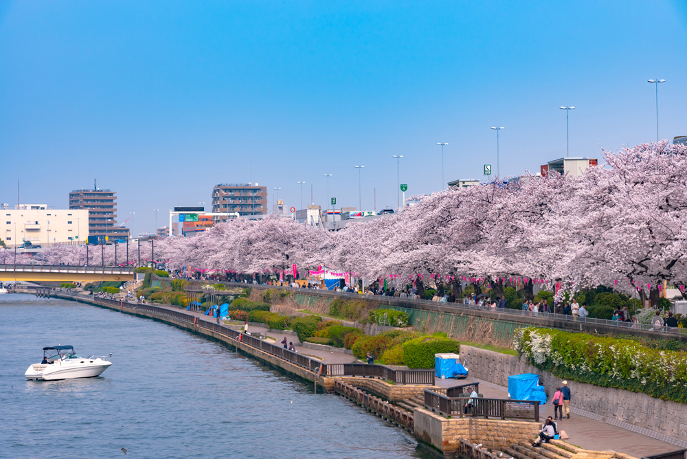 歴史と近代文化の街「江東区」！その住みやすさとは？