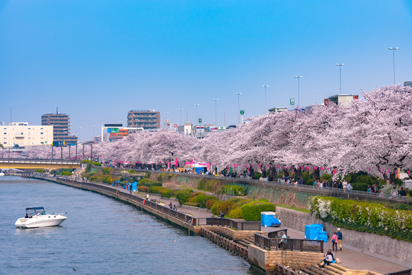 歴史と近代文化の街「江東区」！その住みやすさとは？サムネイル